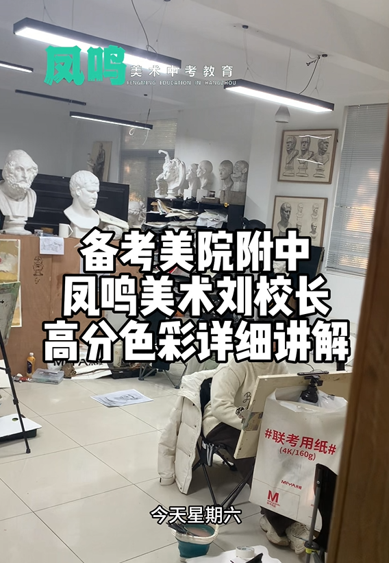 备考美院附中凤鸣美术刘校长高分色彩详细讲解