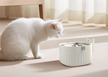 <div style="text-align:center;">
	<span style="font-size:14px;"><strong></strong></span><span style="font-size:14px;"><strong>宠物电器</strong></span>
</div>