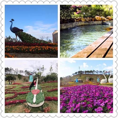 世纪东宝 | 在新时代绽放最美芳华