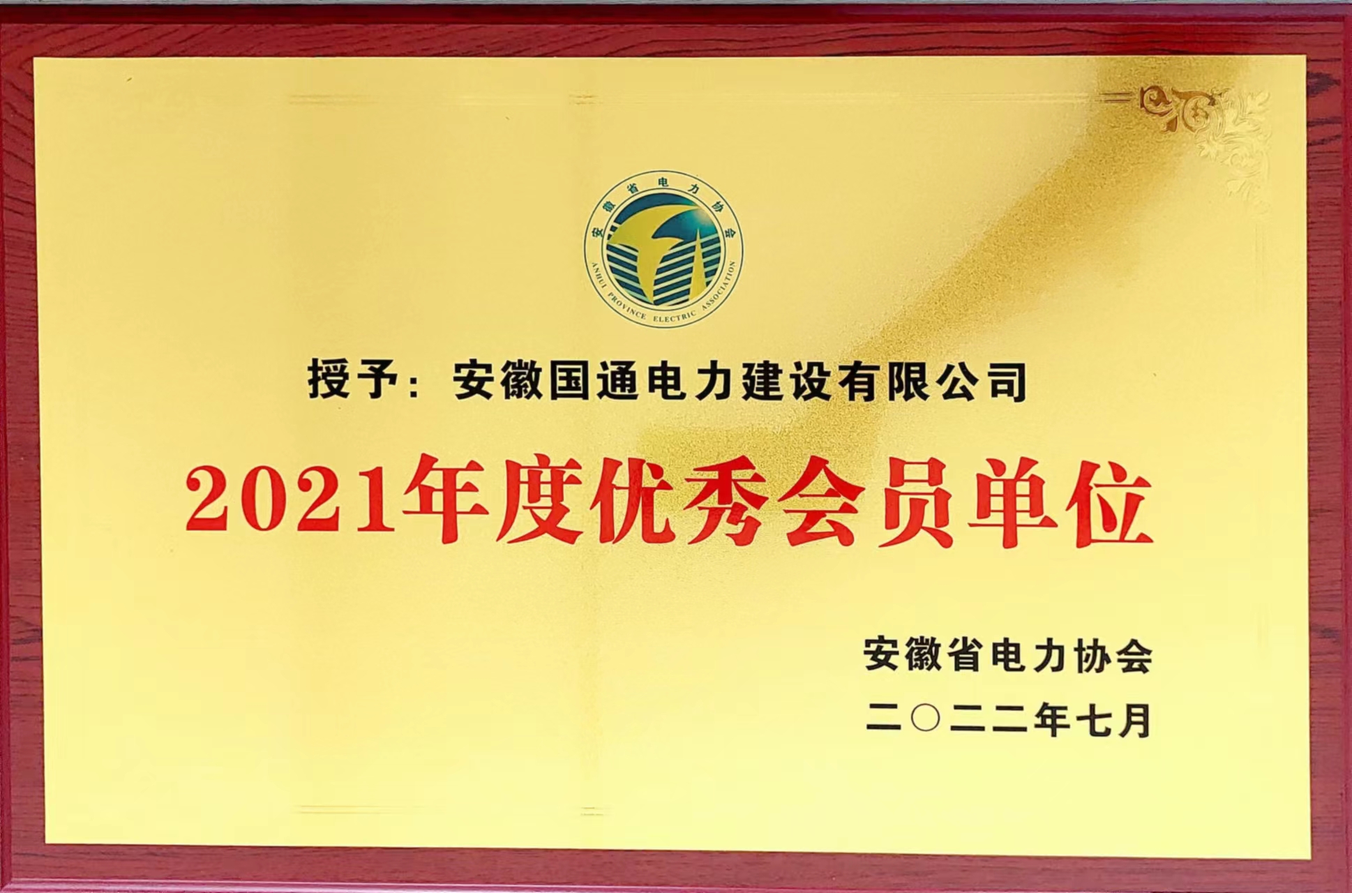安徽省电力协会2021年度优秀会员单位