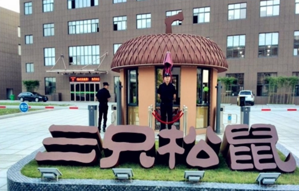 三只松鼠电力设计