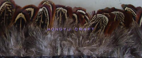 Almond plumage