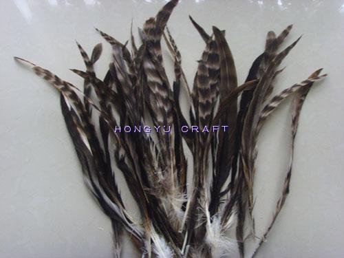 Grey/Red Chinchilla feather