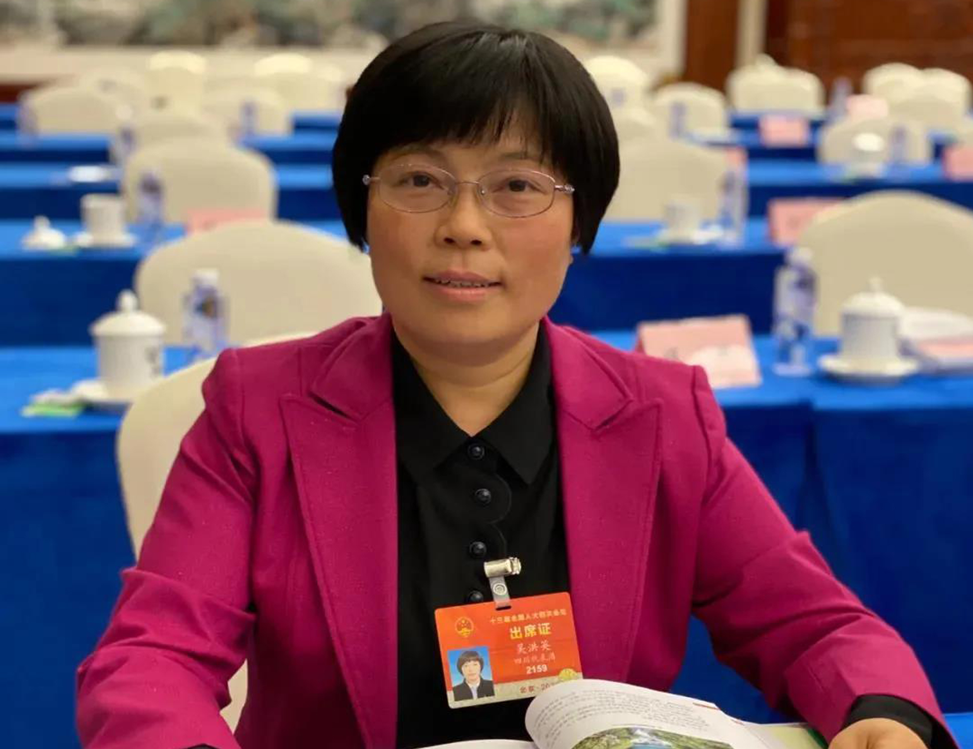 吴洪英代表：支持攀枝花地区钒钛产业资源开发利用