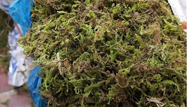 飞龙大棚保温被分享