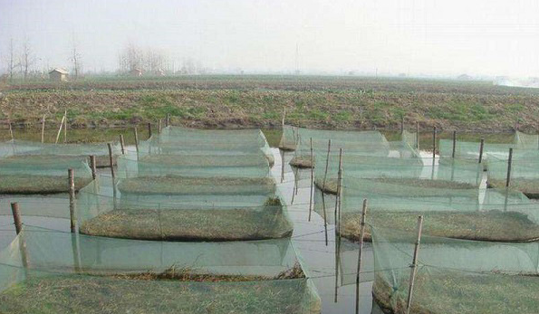青县大棚工地
