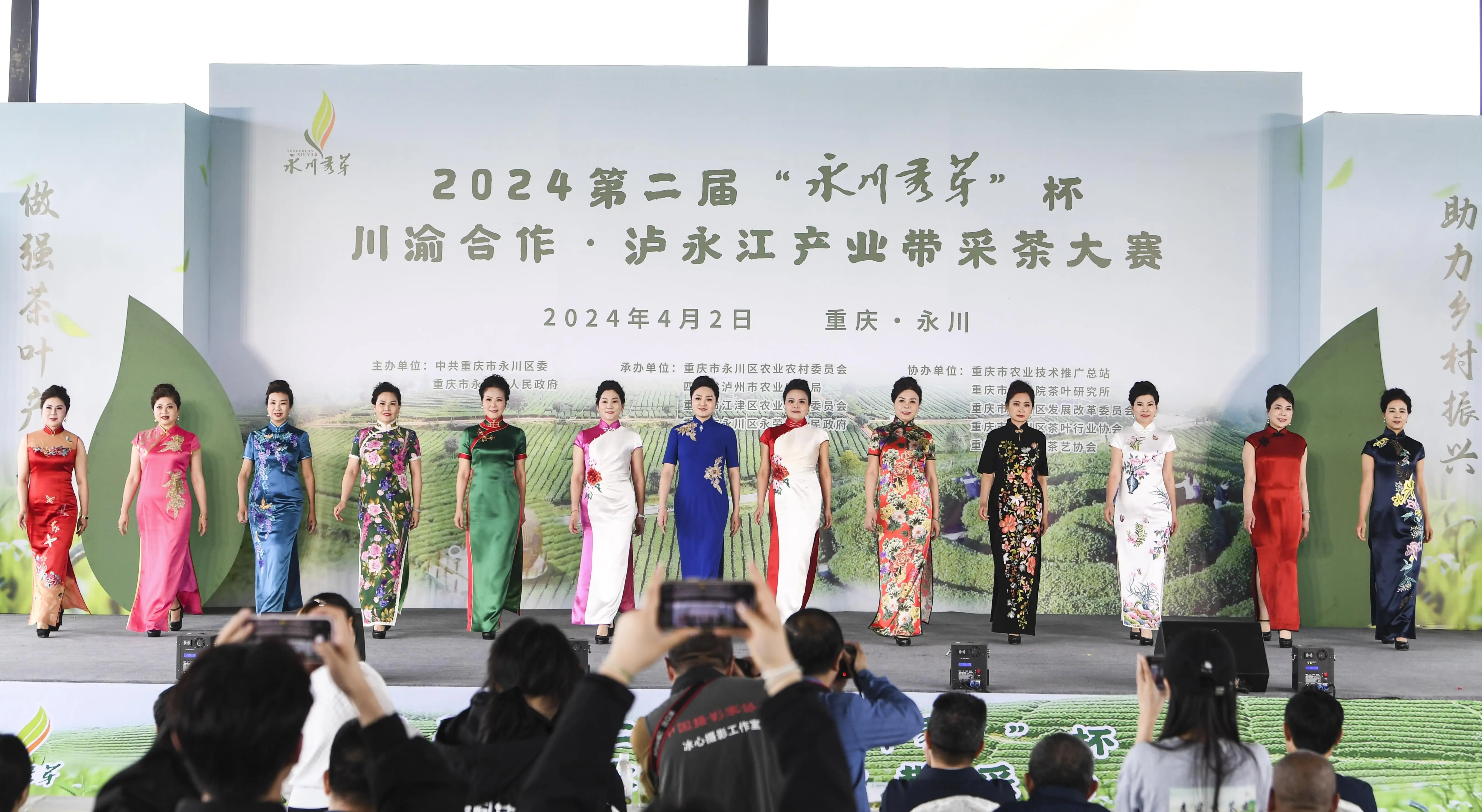 2024第二届川渝合作·泸永江产业带采茶大赛在永川举行