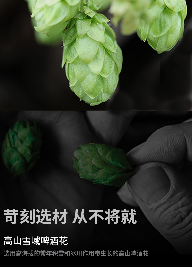 黑美人红啤1L