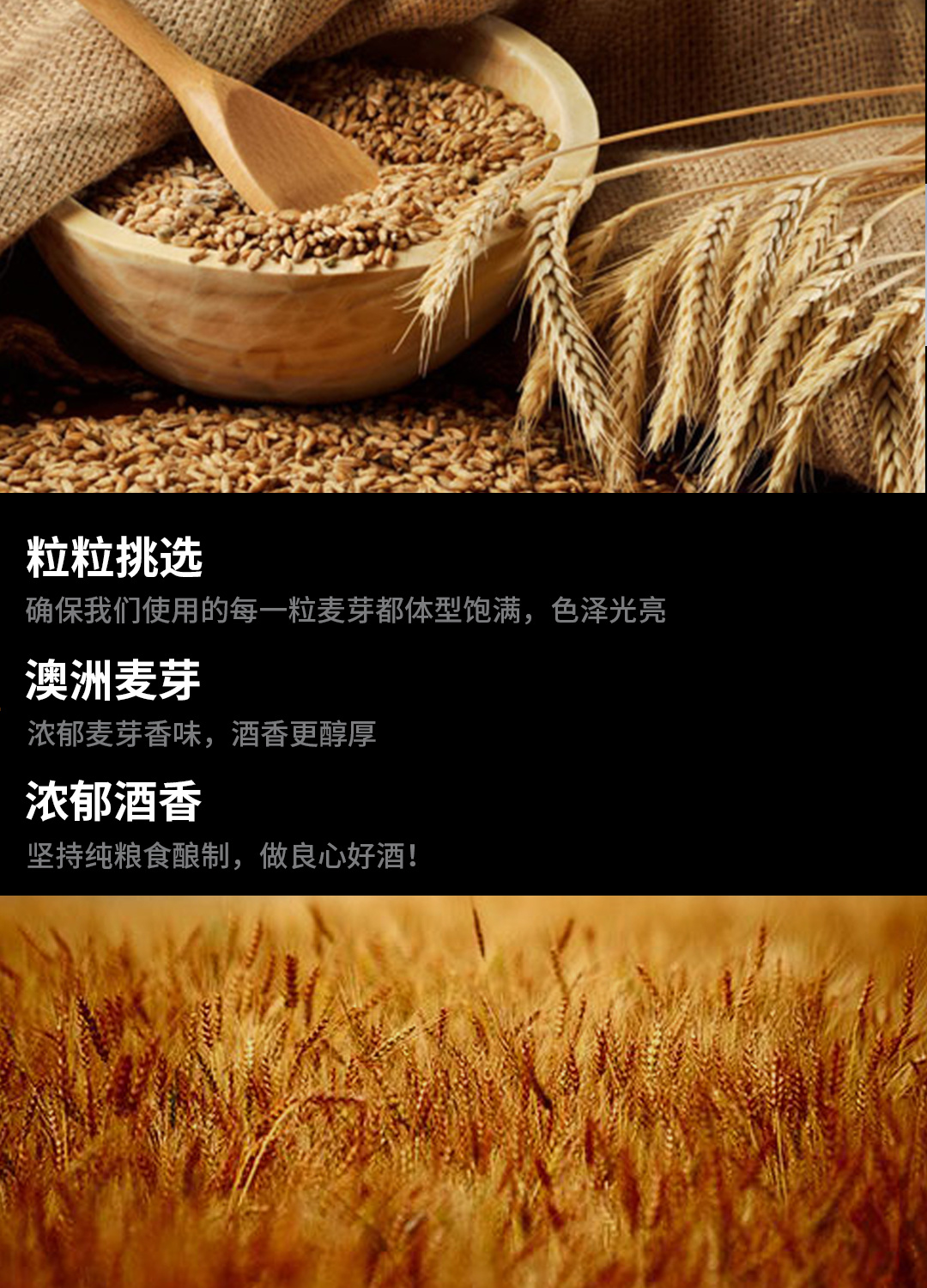 黑美人红啤1L
