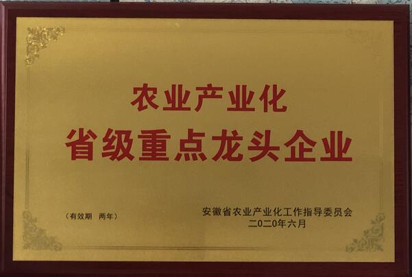 资质荣誉