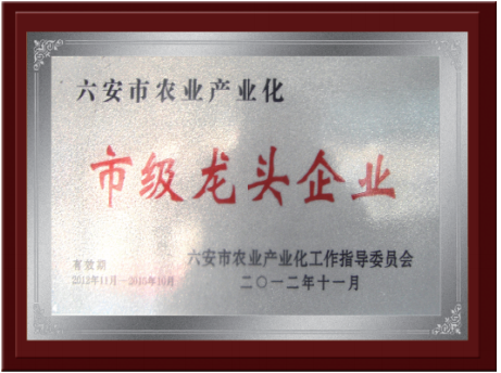 资质荣誉