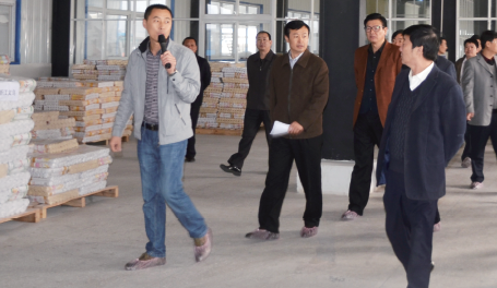 省市级领导参观公司