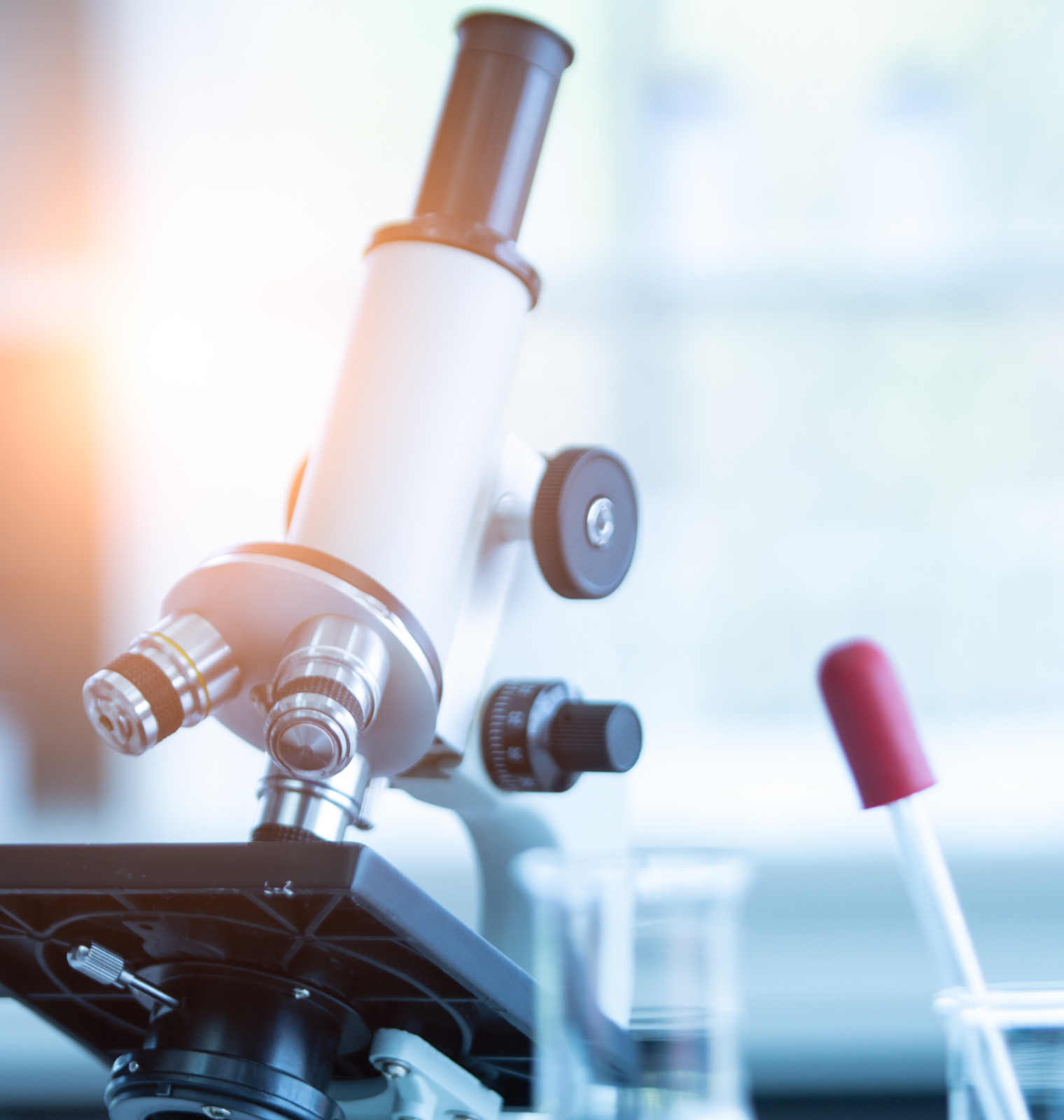 政策红利下的机遇：纳米乳化技术如何赋能“健康中国”战略