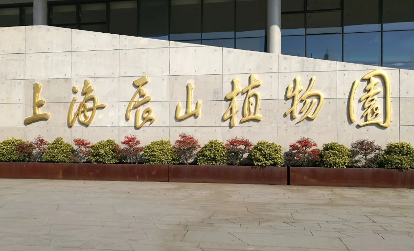上海辰山植物园门票
