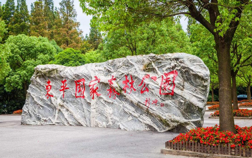 崇明东平国家森林公园