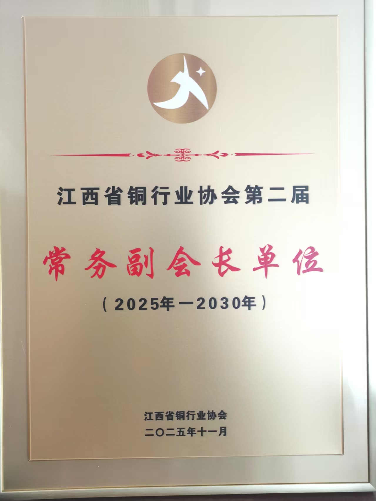 2025年江西铜行业协会