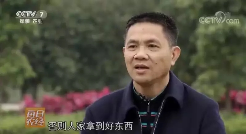 视频：养上这种猪 脱贫致富住别墅