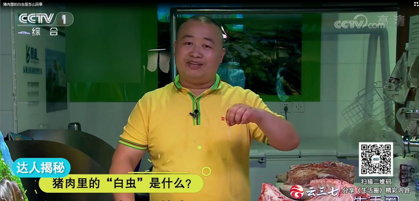 猪肉哥在央视一套为你解密：猪肉里的“白条”是寄生虫吗？