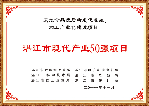 2011年11月湛江市现代产业50强项目