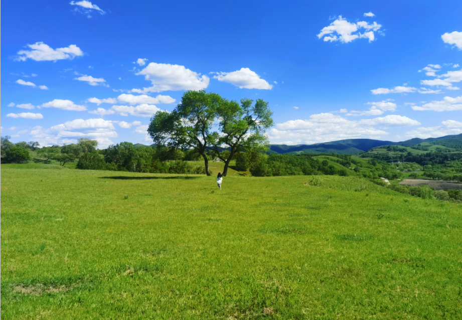 【乌兰布统】+【塞罕坝国家森林公园】经典3日