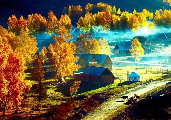 【北疆全景】喀纳斯、禾木、赛里木湖、可可托海、五彩滩、  魔鬼城、薰衣草庄园、那拉提草原、穿越独库  公路9日深度探访之旅