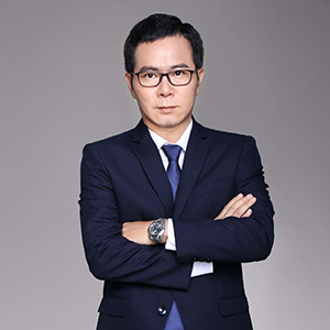 林维蒂
