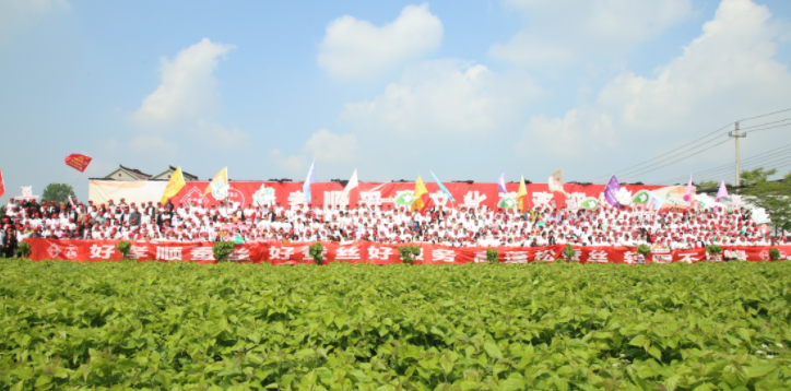 好孝顺第二届采桑文化节