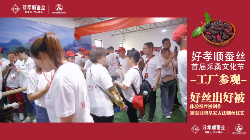 好孝顺蚕丝采桑文化节-工厂参观