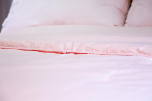 蚕丝被套 皇妃（浅银灰 / 奶油粉 / ）