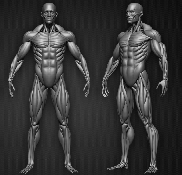 惠好安康全身各部位烧伤硅酮支具定制