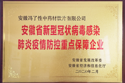 安徽省新型冠状病毒感染肺炎疫情防控重点保障企业