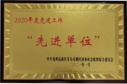 2020年党建工作先进单位
