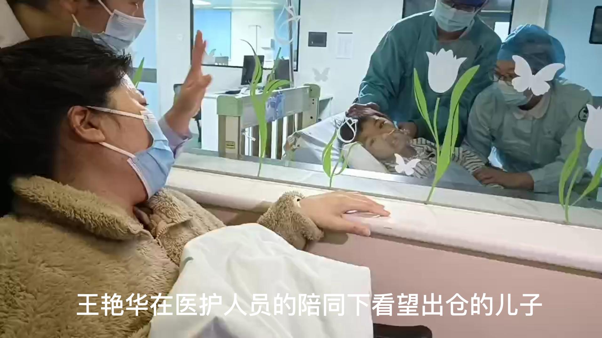 生命的延续 生命的延续