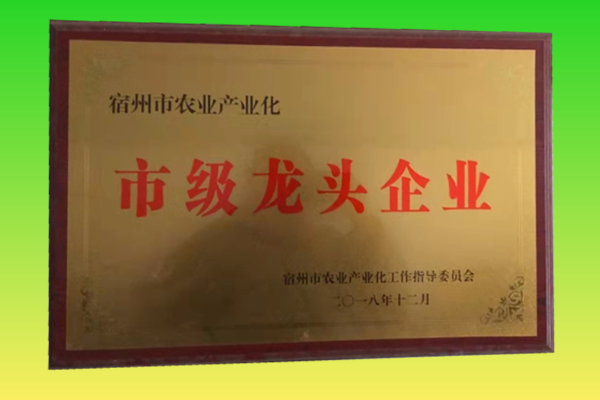 市级龙头企业