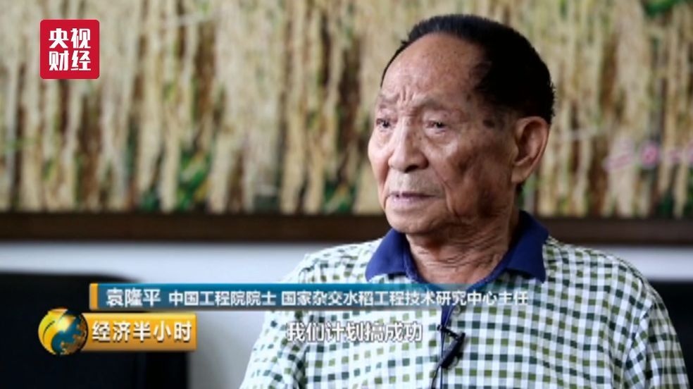 袁隆平再创奇迹:这种水稻解8000万人粮食问题
