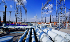 2021年生物質(zhì)發(fā)電項目建設(shè)工作方案》政策解讀 