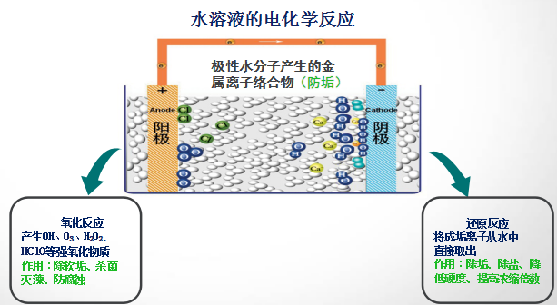 林科克垢 林科克垢