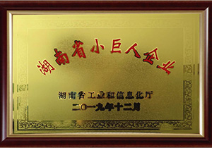 <div style="text-align:center;">
	湖南省小巨人企业
</div>
