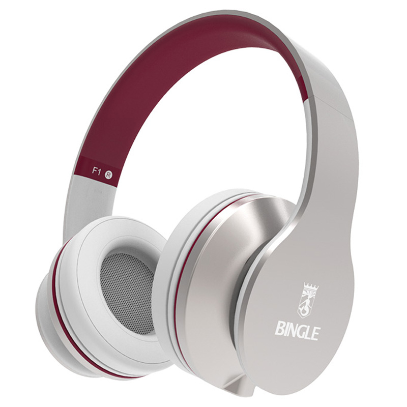 Bingle F1 Classic Over Ear Detachable Wired Headphones
