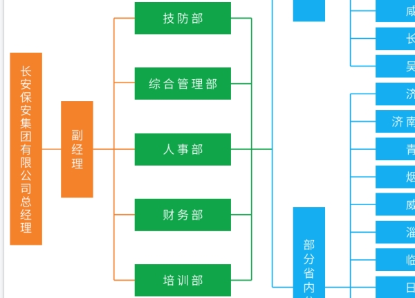 长安保安集团有限公司公司组织机构是什么样子的