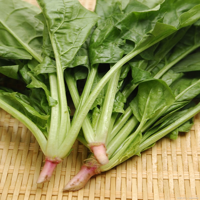有机菠菜汁粉/粉