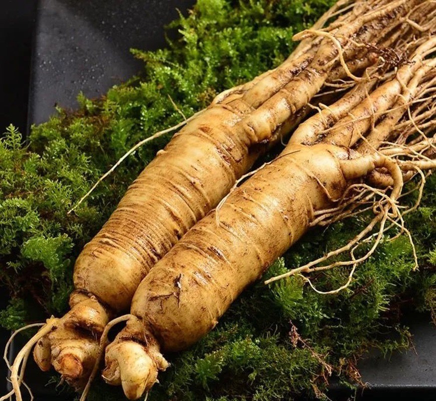 欢迎来到艾森格生物官方网站！