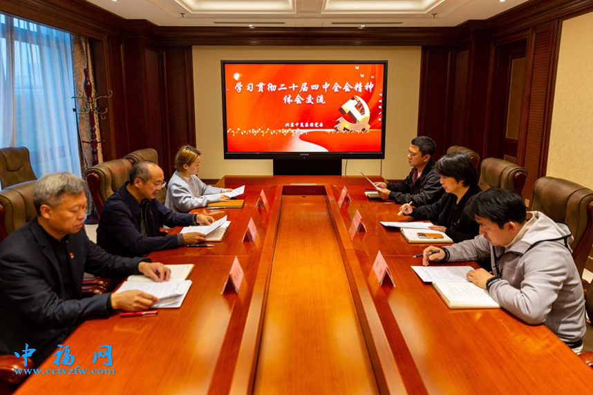 北京中复集团党委召开学习贯彻党的二十届四中全会精神交流会