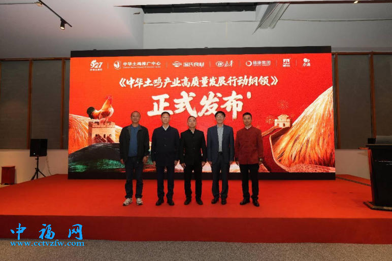 论坛现场。主办方供图