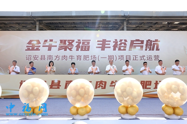 诏安县南方肉牛育肥场一期项目正式开园运营