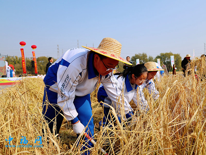 丰台区云岗街道张家坟村第二届丰收节开幕