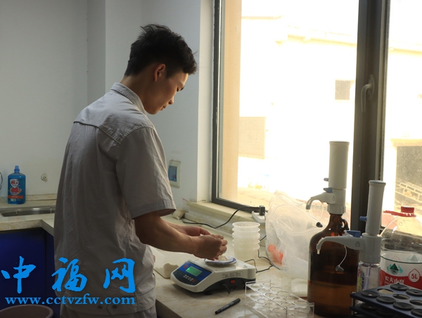 武汉直属库租仓点质检员正在对小麦进行质量检测。受访者供图