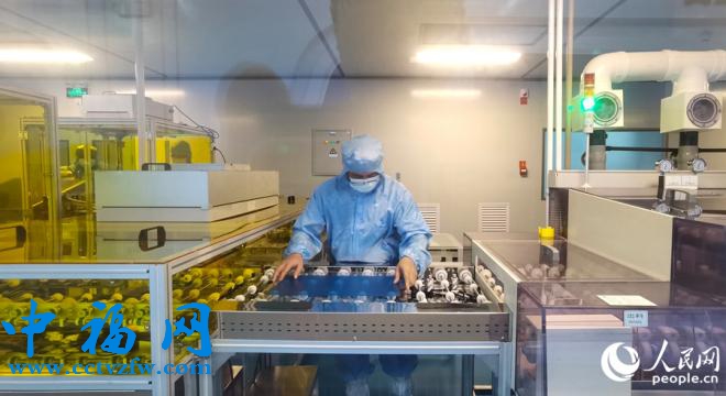 位于武平县新型显示产业园,中触显示产业园里的检验工人在车间里专注地检验电容触摸屏。人民网 李昌乾摄