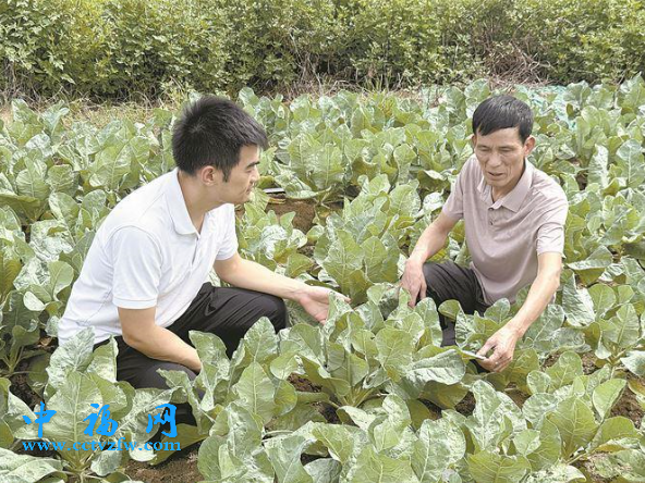 厦门市担保工作人员走访调研农业企业成美慧公司。厦门市担保供图