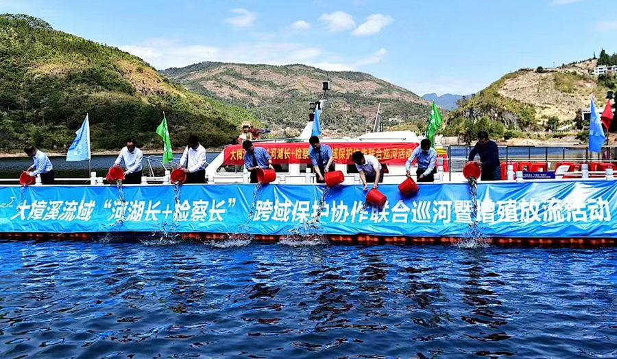 增殖放流现场。周珞珞摄